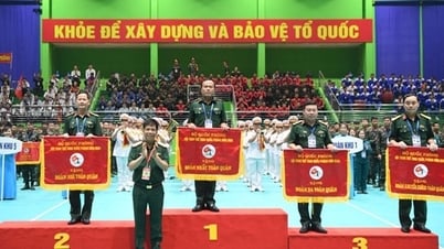 Deporte Militar: avanzando con paso firme con el país