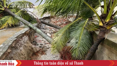 ការដួលរលំទំនប់ទឹកសមុទ្រ Hai Tien