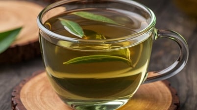 الشاي الأخضر مفيد جدًا ولكن يجب على المجموعات التالية من الأشخاص مراعاته عند استخدامه