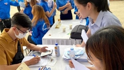 Plan to implement the Law on Employment