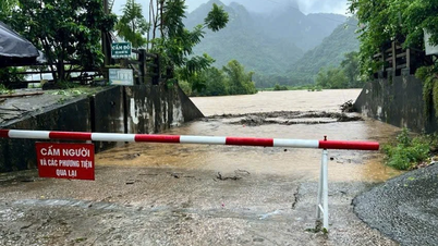 Phú Thọ: Một người đi đánh cá trượt chân, bị nước lũ cuốn tử vong