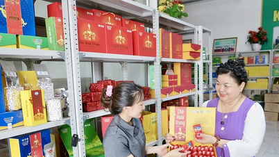 Rico en el sabor del té Dinh premium de Hoai Trung