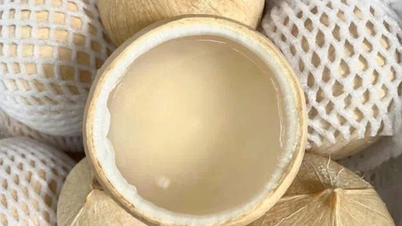 많은 사람들에게 부족한 미네랄이 함유된 상쾌한 음료입니다.