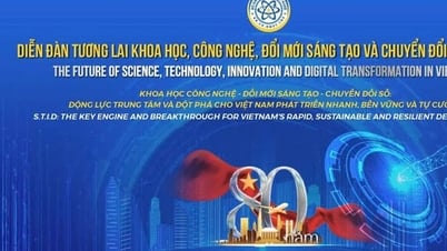 Das Forum „Zukunft von Wissenschaft, Technologie, Innovation und nationaler digitaler Transformation“ findet am 29. August 2025 statt