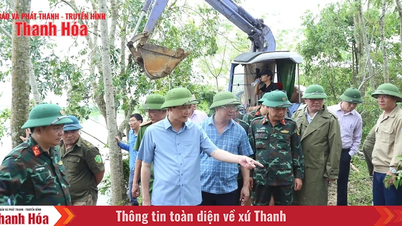 Chủ tịch UBND tỉnh Đỗ Minh Tuấn kiểm tra, chỉ đạo khắc phục sự cố đê tại xã Triệu Sơn