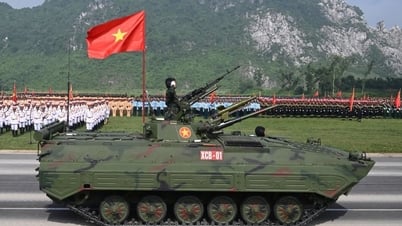 Что особенного в бронированной боевой машине пехоты XCB-01, произведенной во Вьетнаме?