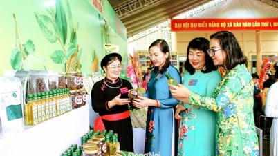 바우함 코뮌은 지속 가능한 개발을 목표로 합니다.