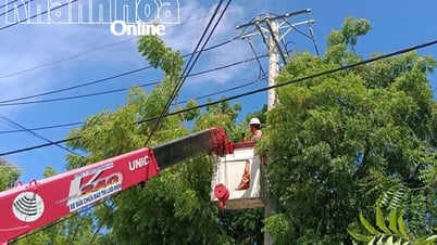 Công ty Điện lực Khánh Hòa: Vận hành ổn định, an toàn