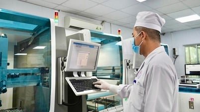 Кантхо: Внедрение автоматической системы для обработки 9000–10 000 тестов в день