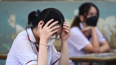 Los candidatos tienen suficientes puntos para aprobar los exámenes de ingreso a la universidad pero no saben en qué escuela ingresar, ¿qué dice el Ministerio de Educación y Formación?