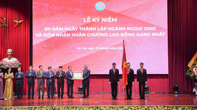 Ngành Ngoại vụ Gia Lai tiên phong hội nhập quốc tế