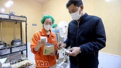 「Three Ready」運動が若者を鼓舞