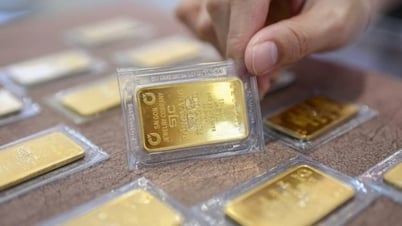 Le prix de l'or établit un nouveau record après l'abolition du mécanisme de monopole sur les lingots d'or