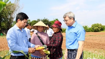 Dự án SACCR: Giúp đồng bào dân tộc thiểu số thay đổi tư duy canh tác