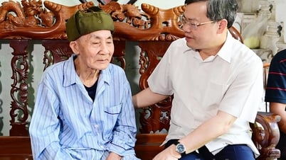 Chairman of the Provincial People's Council Nguyen Van Son awarded the Party Badge to Party member Nguyen The Gung, My Lam Ward Party Committee.