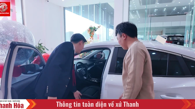 ما الذي يجعل سيارات MG Quang Binh تستحوذ على جيل الشباب من خلال طراز السيدان MG5؟