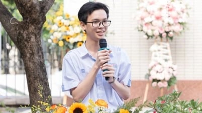 Estudiante destacado con 30/30 puntos, estudiando 10 horas/día, decidido a no trabajar extra