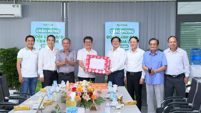 เลขาธิการพรรคประจำจังหวัดโฮ ก๊วก ดุง เยี่ยมชมและทำงานในโครงการต่างๆ ในพื้นที่ตะวันตกจาลาย