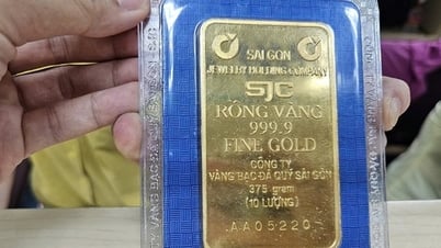 سعر سبائك الذهب SJC يواصل تسجيل ذروة جديدة صباح يوم 28 أغسطس