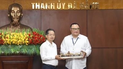 Руководство города Дананг встречает председателя инвестиционной группы Sun Seven Stars (США)