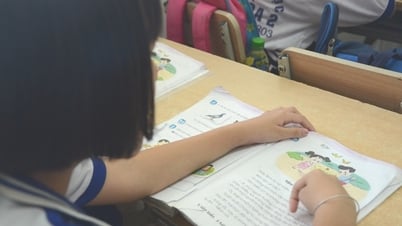 ¿En qué dirección modificará el Ministerio de Educación y Formación la Circular 29 sobre enseñanza y aprendizaje complementarios?
