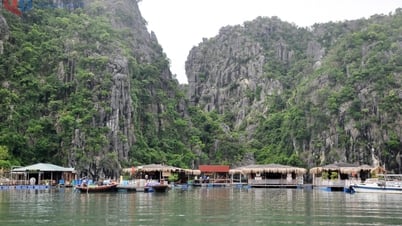 L'attraction de la région de Hang Co - Vung Vieng sur la baie d'Ha Long