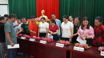  Khởi động Dự án "Xây dựng, quản lý và phát triển nhãn hiệu tập thể Thanh Long Nguyên Bình"  - Báo Cao Bằng điện tử