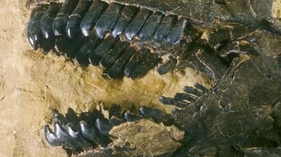 Dinosaur teeth reveal ancient secrets