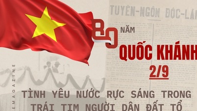 วันชาติ 2 กันยายน : ความรักชาติส่องประกายในใจประชาชนแห่งมาตุภูมิ