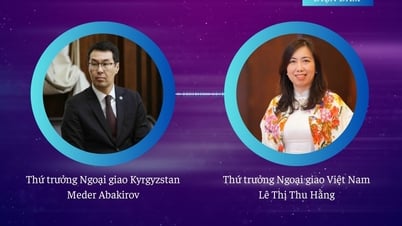 เวียดนามให้ความสำคัญและปรารถนาที่จะส่งเสริมมิตรภาพแบบดั้งเดิมกับคีร์กีซสถานเสมอ