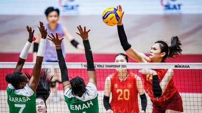 Voleibol Femenino Mundial: El espíritu vietnamita brilla