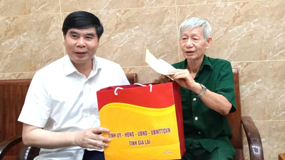 Der stellvertretende Vorsitzende des Volkskomitees der Provinz Lam Hai Giang überreicht Politikerfamilien im Bezirk Quy Nhon Tay Dankesgeschenke