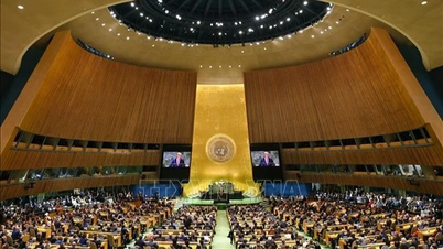 Les Nations Unies créent un Conseil scientifique international sur l'IA