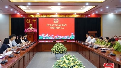 Pre-feasibility study of REDD+ project in Son La