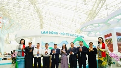 Lam Dong - Convergence et éclat