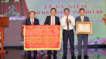 Hai Phong Drainage One Member Co., Ltd. a reçu un certificat de mérite du Premier ministre.