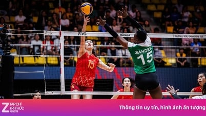 Vietnam women's volleyball team drops 6 places in world rankings