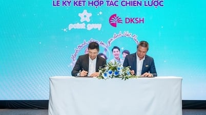 Point Grey chính thức gia nhập thị trường Việt Nam qua hợp tác chiến lược với DKSH