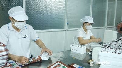 중소기업을 위한 여건 조성 필요
