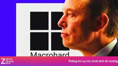 イーロン・マスクのマイクロソフトに対抗する奇妙なプロジェクト
