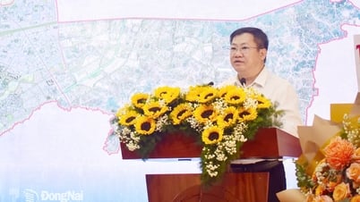 롱칸구, 3개 계획사업 발표 및 투자유치 방안 제시