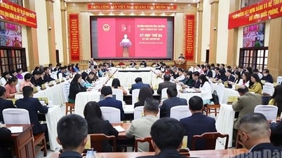 ラムドン省人民評議会は14の決議を可決した。