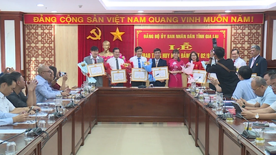 Trao Huy hiệu Đảng cho 13 đảng viên thuộc Đảng bộ UBND tỉnh
