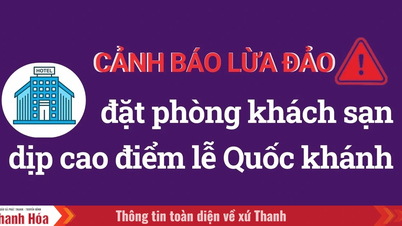 Cảnh báo lừa đảo đặt phòng khách sạn dịp cao điểm lễ Quốc khánh