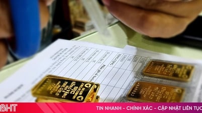 El precio del oro doméstico "sube" a un máximo histórico, sin un punto de parada a la vista