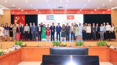Creating new momentum, bringing the comprehensive cooperation between Vietnam and Cuba into depth, effectiveness and substance
