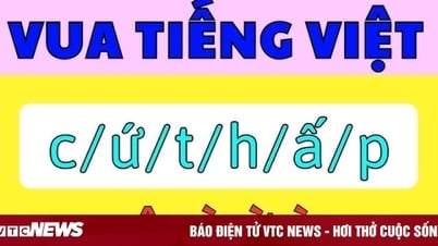 Câu đố vua Tiếng Việt khiến 90% người không tìm được ra đáp án