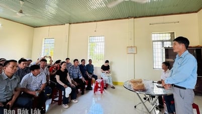 Experience and enjoy Dong Binh rice paper with locals
