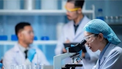 Schlagen Sie viele spezielle Behandlungsrichtlinien für Experten vor