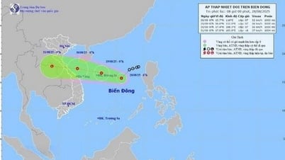 Áp thấp nhiệt đới đổi hướng hướng về khu vực biển đặc khu Hoàng Sa